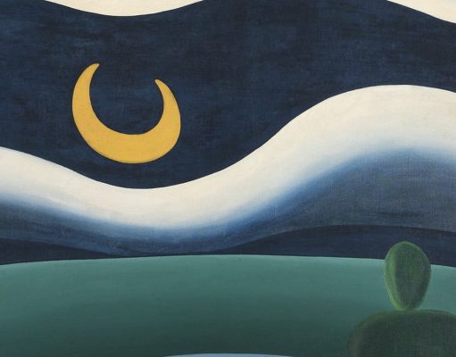Tarsila do Amaral, Antropofagia stosowana