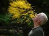 Andy Goldsworthy, pierwotne piękno