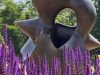 Henry Moore w Kew Gardens