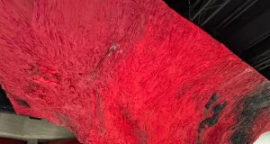 Anish Kapoor w Hayward Gallery