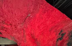 Anish Kapoor w Hayward Gallery